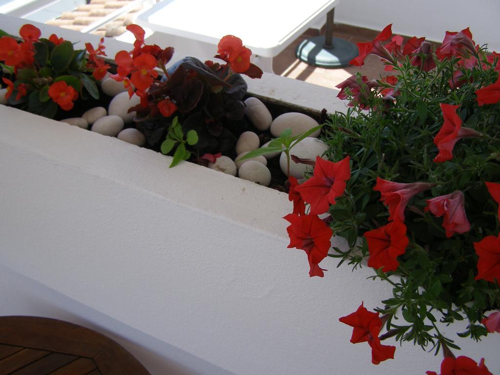 Palastura Apartments Ulcinj Esterno foto