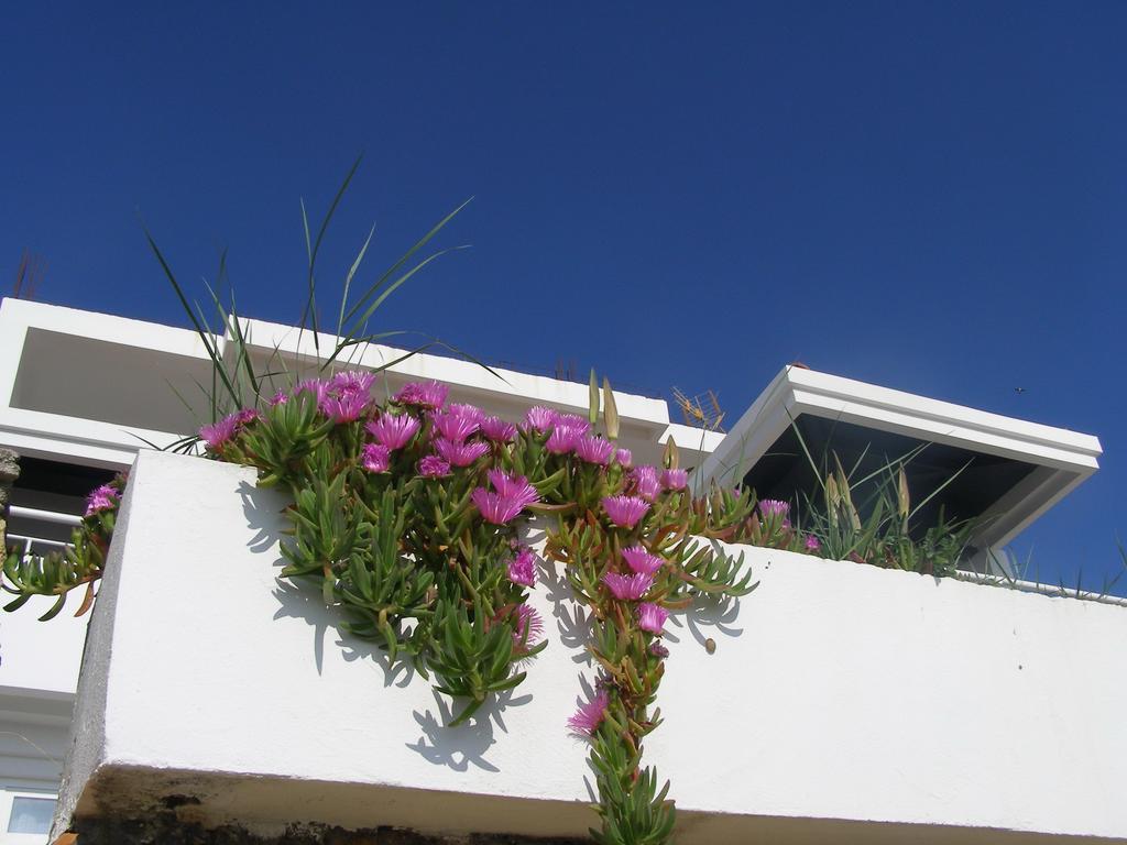 Palastura Apartments Ulcinj Esterno foto